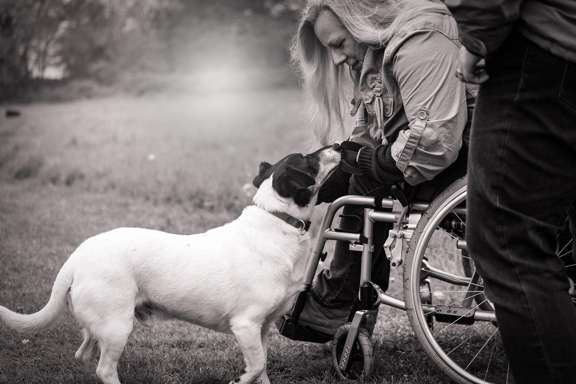 diferencias entre paraplejia, tetraplejia y cuadriplejia